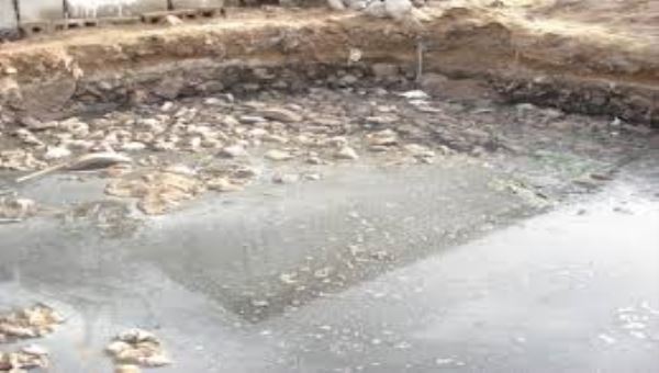 عدن .. حملة لانقاذ محمية احواض الملح الطبيعية