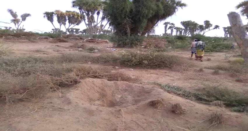 الحديدة.. مليشيات #الحـوثي تقصف مزارع المواطنين ومواقع ألوية العمالقة والقوات المشتركة بعشرات القذائف