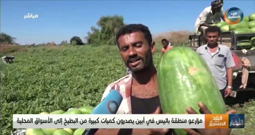 مزارعو البطيخ في خنفر يحققون أرباحا مالية هذا العام  