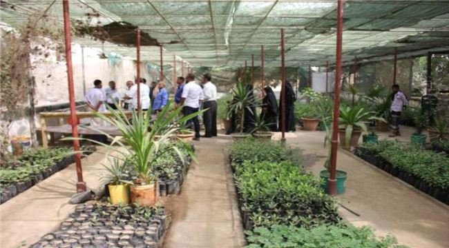 صندوق النظافة بعدن : أنتجنا 38 الف شتلة زراعية وسننفذ عملية تشجير واسعة