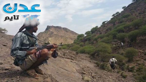 المقاومة تحرز تقدما كبيرا في المناطق الحدودية بين لحج وتعز 