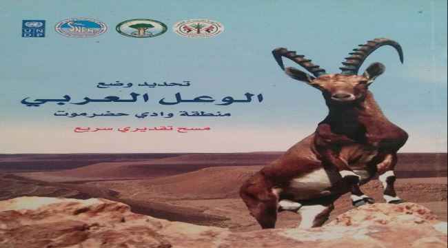 دراسة إماراتية عن "الوعل العربي في وادي حضرموت"