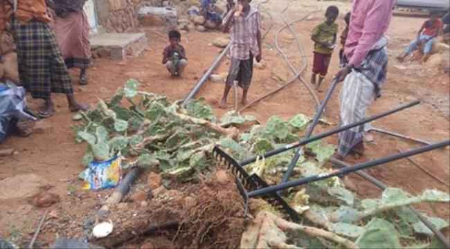 حملات ميدانية لاستكشاف الآفات الزراعية بأرخبيل