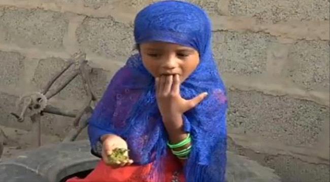 أوراق شجرة" الحلص" وجبةة الفقراء في مناطق #الحـوثيين