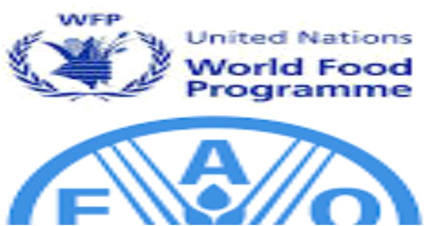 أخطاء وتجاوزات المنظمات الدولية .. هل من نهاية لها ؟