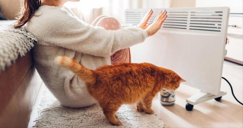 الأنيميا تزيد الشعور ببرودة الجو