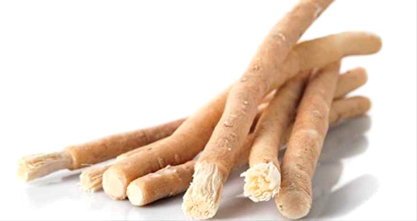 "السواك" البديل السحري لحماية الأسنان