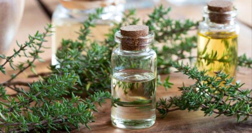 فوائد زيت الزعتر للبشرة والشعر والتخسيس