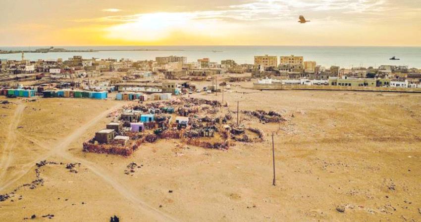 رواية أميركية عن تاريخ القهوة.. الوجه الآخر لليمن في «ناسِك الموكا» 