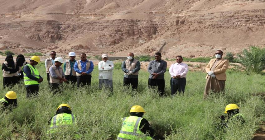 تدشين مشروع "المساعدات الغذائية" في وادي حضرموت 