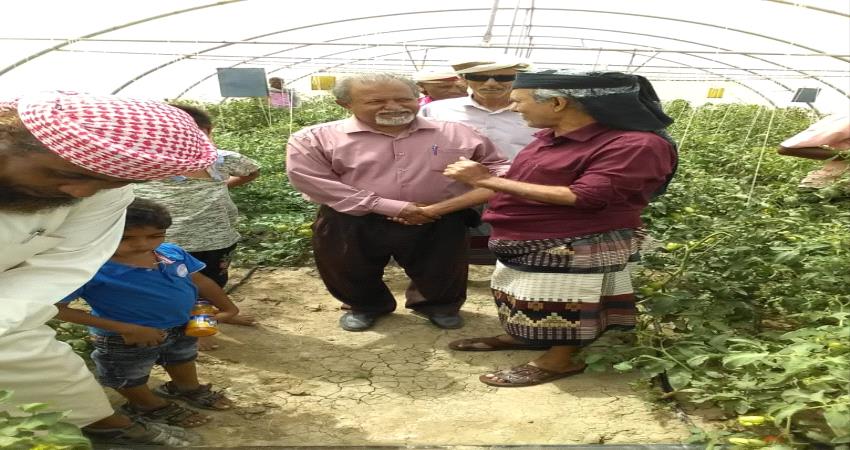 رئيس انتقالي أبين يقود جهود للفصل في قضية البسط على أراضي مشتل الكود