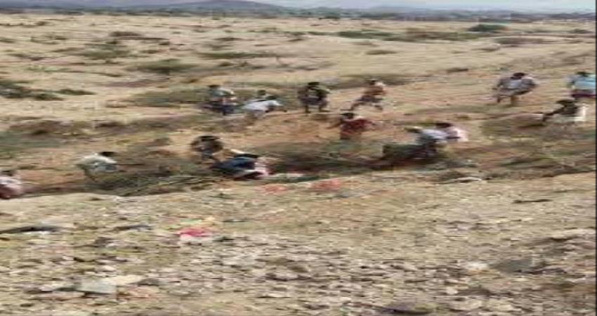 تفاقم الاقتتال بين قبيلتين وانتقالي طور الباحة يحذر من عواقبة