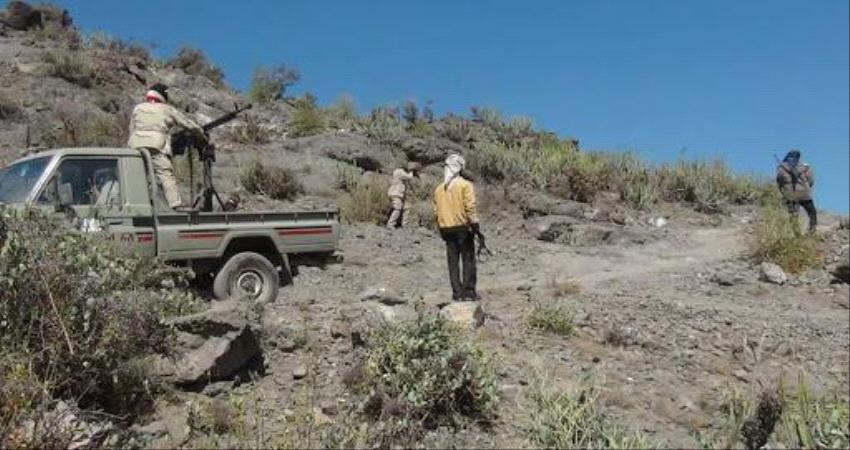 متحدث محور الضالع يكشف مستجدات العمليات العسكرية لأكثر من قطاع 