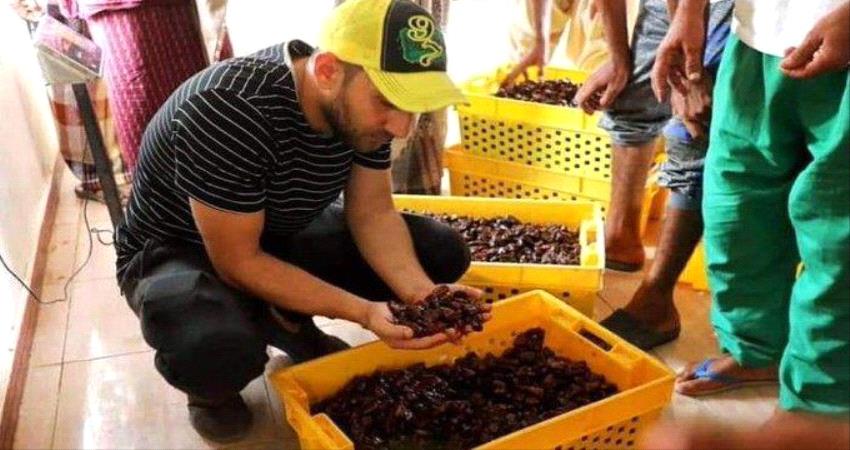 خليفة الإنسانية تنقل تمور مزارعي سقطرى إلى مصنعها لتغليفها وتسويقها