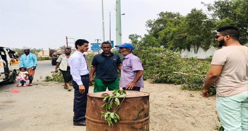 عدن.. حملة تشجير وترتيب المساحات الخضراء بخور مكسر