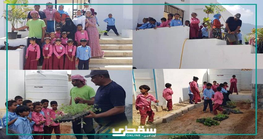مدرسة نموذجية بسقطرى تنفذ حملة تشجير لطلابها بدعم مؤسسة خليفة الإنسانية