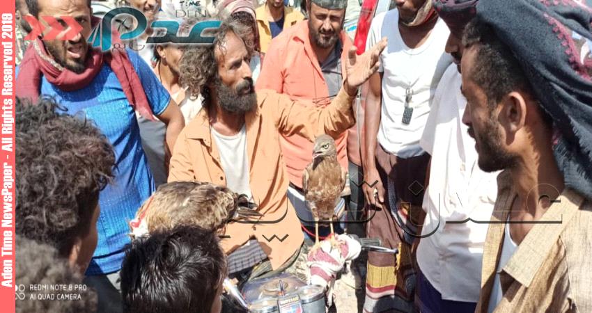 بالصور.. عرض صقور للبيع بسعر كبير في لحج