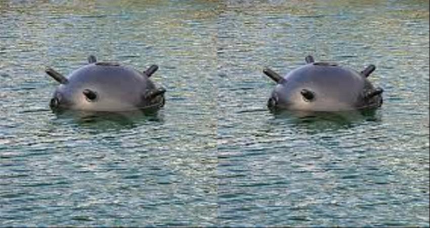 مليشيا الحوثي تتوسع في أدواتها الإرهابية بزراعة أنواع جديدة من الألغام البحرية الإيرانية (تقرير خاص)