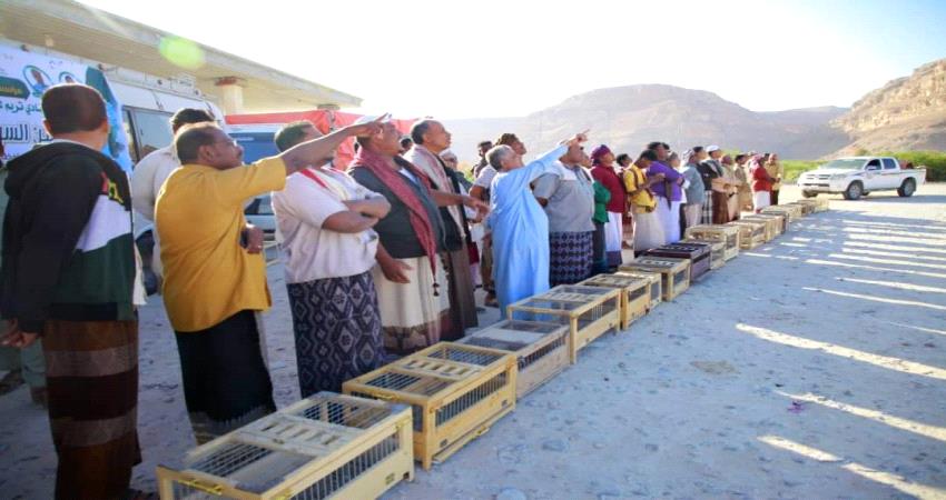 المهرة.. إنطلاق السباق الثاني للحمام الزاجل