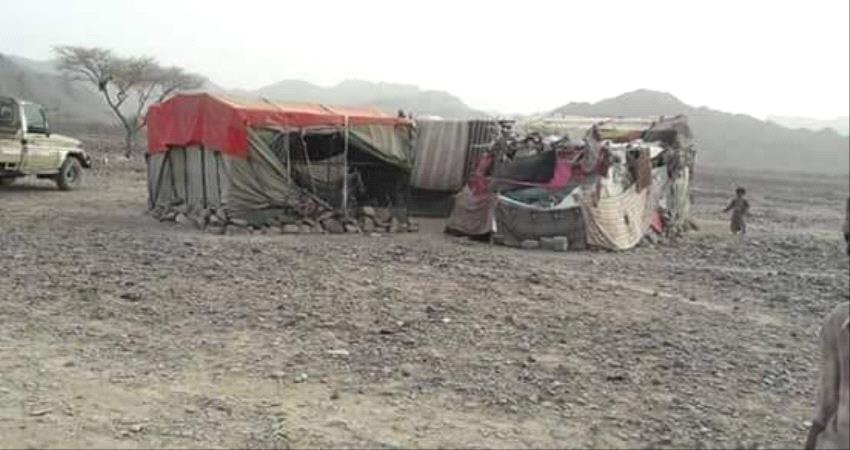 ناشط من شبوة : مشاريع بن عديو " سراب " محاطة بهالة اعلامية لاختطاف المحافظة معنويا بالكذب