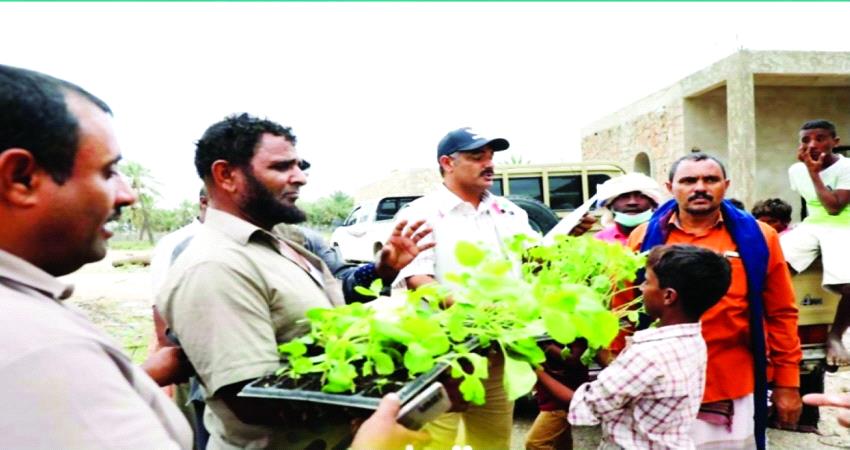 «خليفة الإنسانية» تقدم دعما جديدا لمزارعي سقطرى