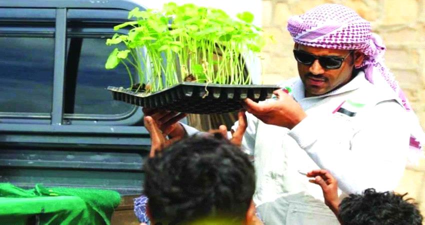 تطوير اماراتي لقطاعي التعليم والصحة في المحافظات المحررة