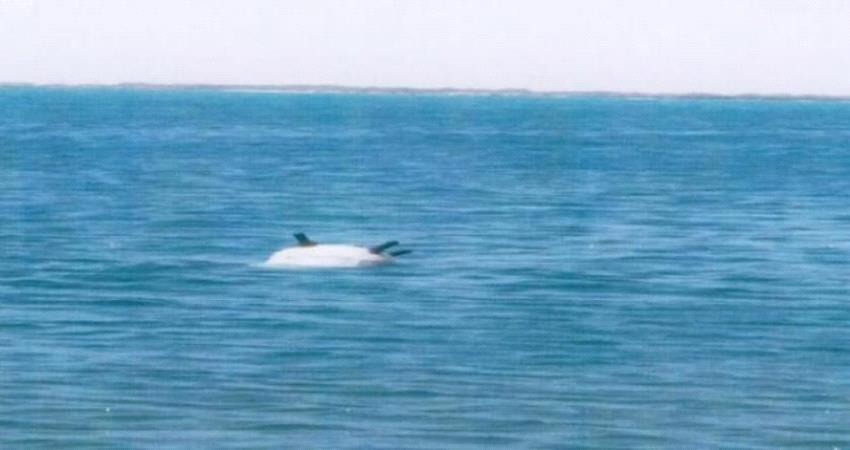 لغم حوثي يعطب سفينة تجارية في البحر الأحمر 