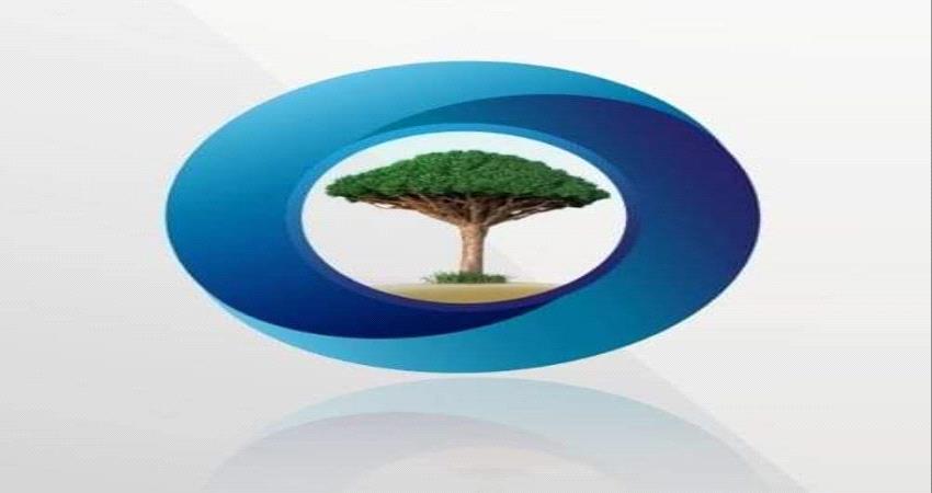 قنوات تلفزيونية جديدة تبث من تركيا.. مؤامرة تستهدف التحالف 