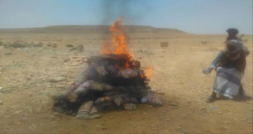 تواصل التضييق على مهربي القات بحضرموت .. وعملية احباط تهريب جديدة