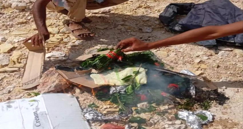 مهرب قات في قبضة قوات الأمن بساحل حضرموت 