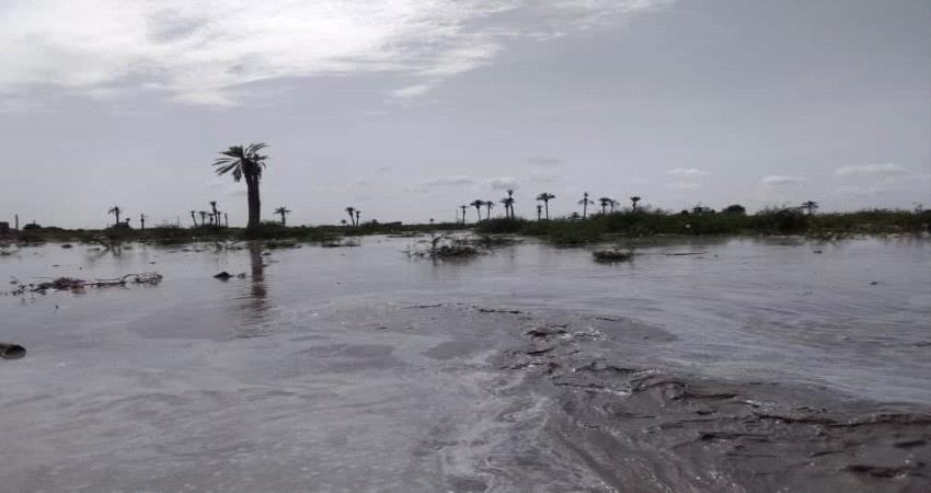 تدفق سيول لم تشهدها أراضي زراعية بلحج من 20 عاما