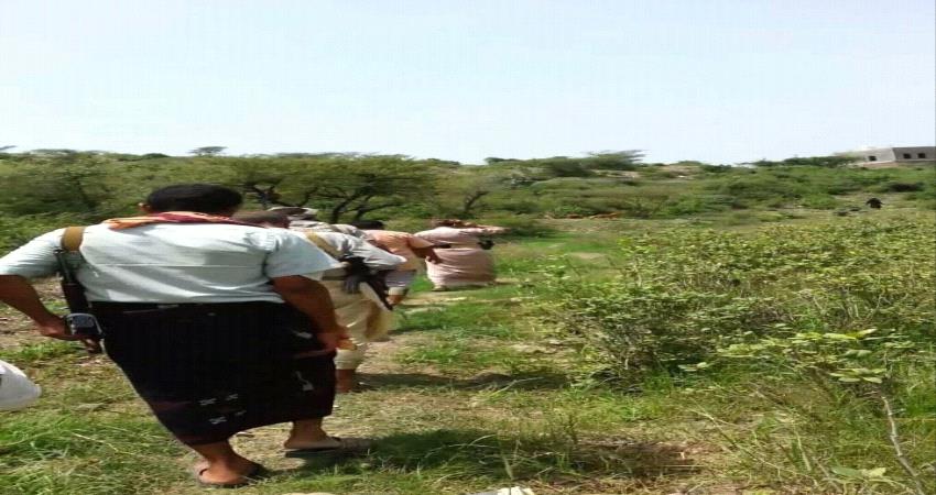 الضالع.. ميليشيا الحوثيين تفرض اتاوات على مزارعي القات ومالكي ابار المياه
