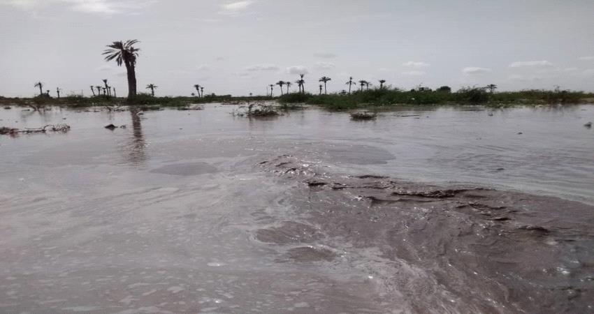 بالصور.. تدفق السيول على أراضي الحوطة وتبن بلحج وفرحة عارمة  تغمر الفلاحين