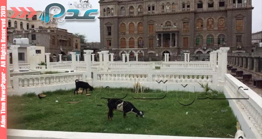 بعد إعادة تأهليها بلحج ..حديقة "الاندلس" تتحول الى مرعى للماشية