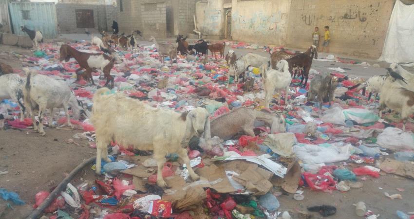 بلغت تكلفتها 9 مليون ريال ... فشل حملة نظافة بلحج