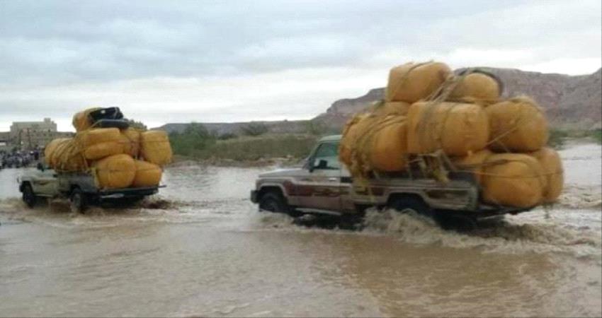 ميلشيا تتمرد على المحافظ الحسني وتسمح بدخول القات الى وادي حضرموت 