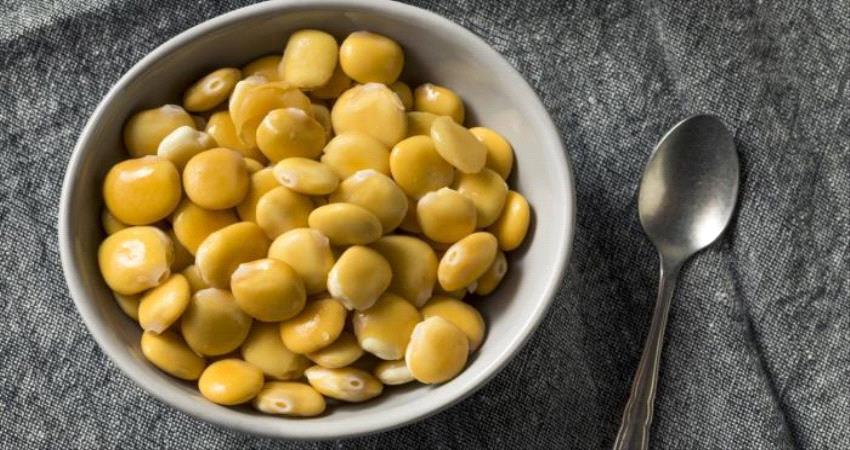 الترمس فوائد مذهلة.. تعرف على طريقة تحضيره