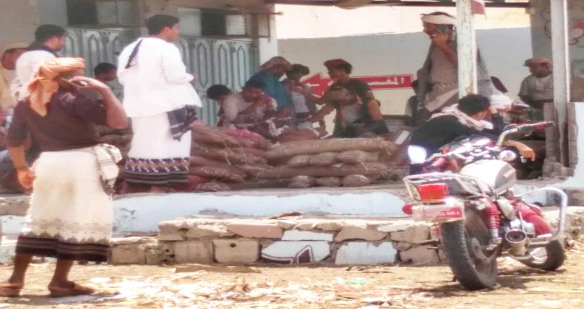 شبوة.. ميليشيا الاخوان تفرض إتاوات اضافية على باعة القات لتمويل حربها في شقرة