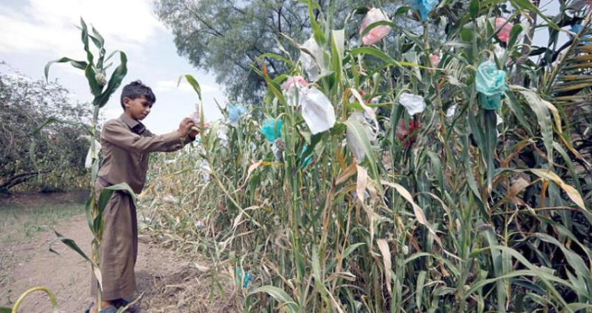 سياسات الحوثيين تدمّر قطاع الزراعة وتتسبب بتراجع مداخيله المالية