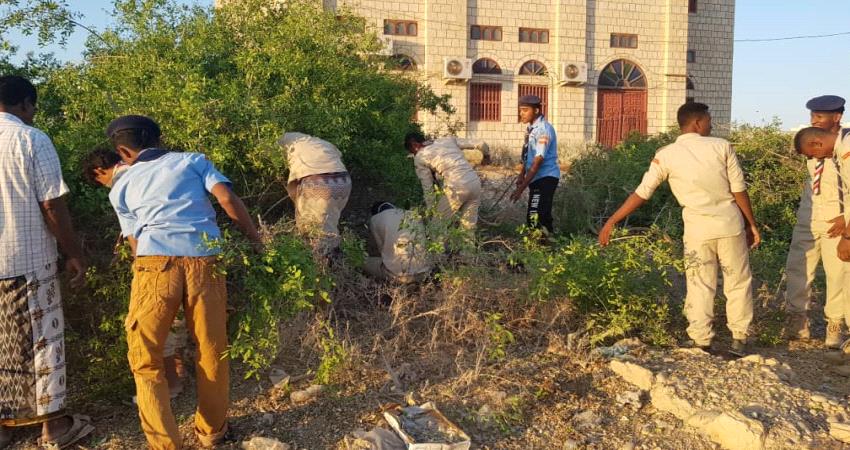 كشافة المهرة يزيلون الأشجار الخطيرة في الغيضة