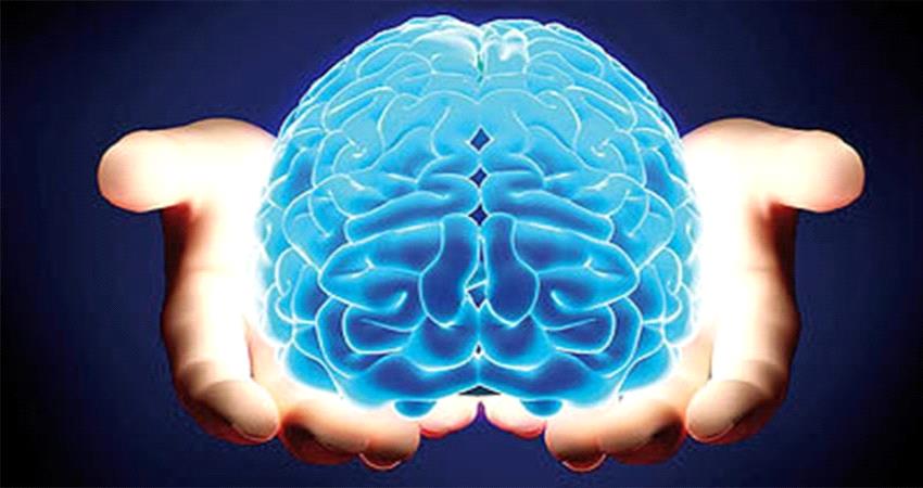 الذكاء 7 أنواع.. اكتشف أي نوع تمتلك 