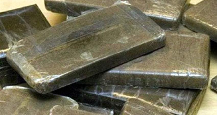 إحباط محاولة تهريب كمية من الحشيش المخدّر ب #المكلا