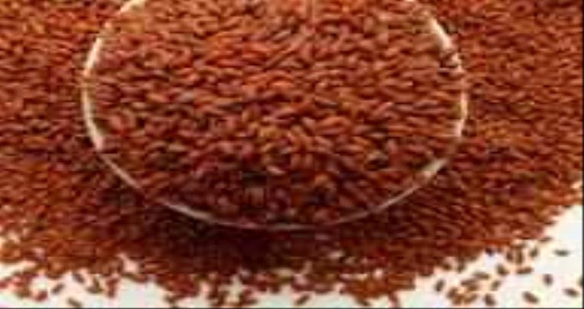 أبرزها تقوية العظام وزيادة كثافتها.. 7 فوائد لحب الرشاد!