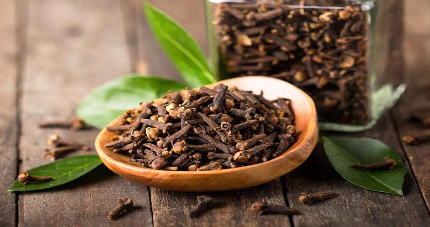 كنز من الفوائد لكن بشروط.. تعرف على فائدة القرنفل