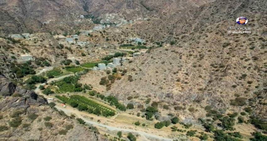 اشادة واسعة بحملة اقتلاع اشجار القات واستبدالها بزراعة البن في يافع