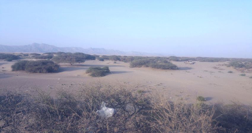 عناصر من تنظيم القاعدة تقاتل مع مليشيا الإخوان في أبين 