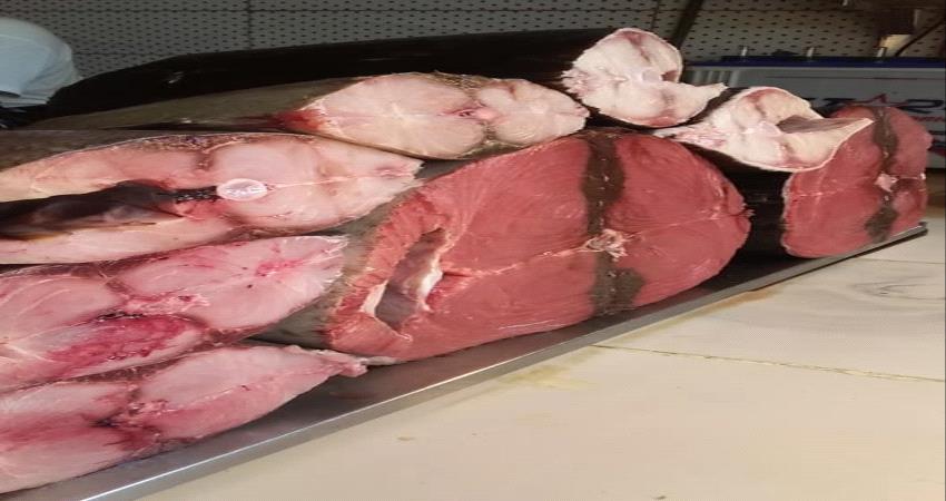 لا تغيير كبير في اسعار الأسماك بعدن ..( قائمة اسعار الاسماك  واللحوم والخضروات )