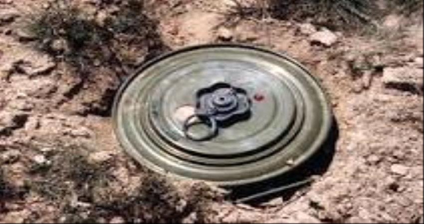 مسام ينتزع كمية هائلة من الالغام الحوثية 