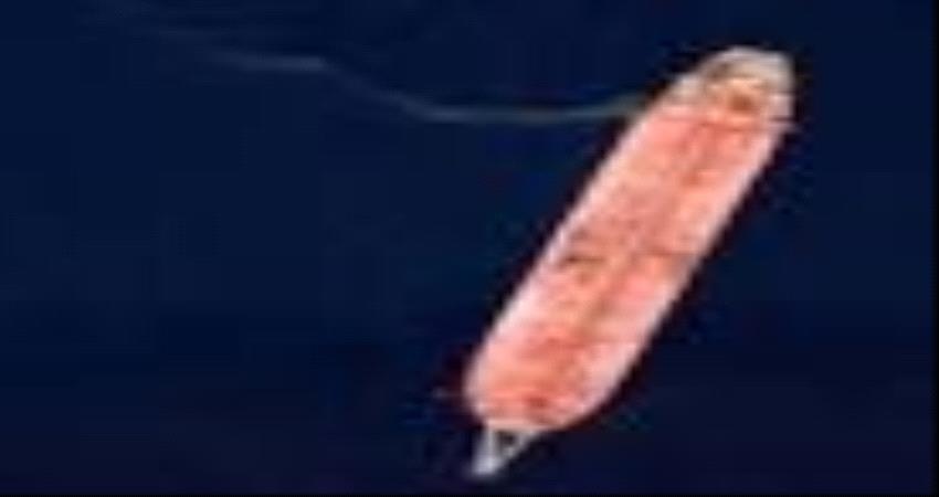 "صافر".. استمرار التحذيرات من أكبر كارثة تهدد اليمن