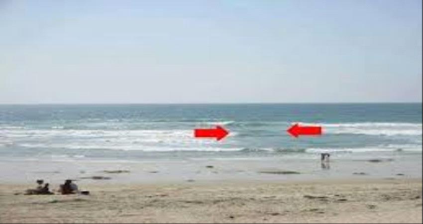 تربية لحج تشكل لجنة تحقيق في وفاة 3طلاب خلال رحلة مدرسية